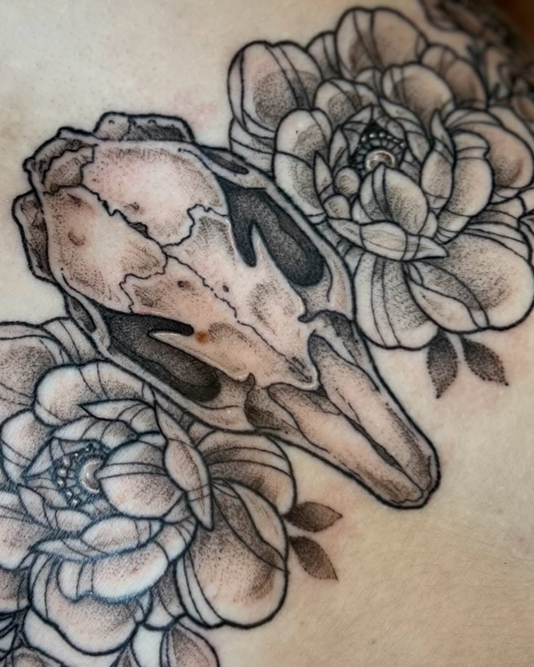 Tattoo by @olympe_ktattoos β black_and_grey, dotwork