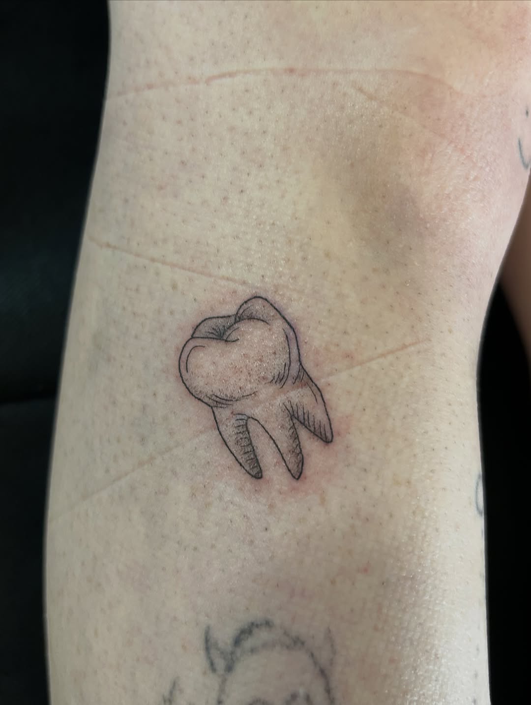 Tattoo by @bria.tattoos — fine_line