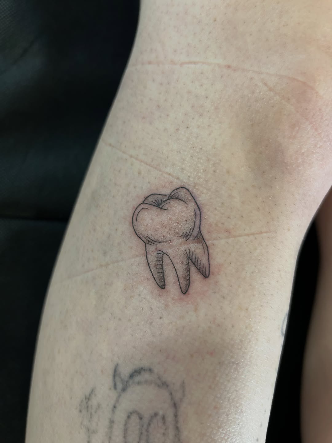 Tattoo by @bria.tattoos — fine_line, sketch