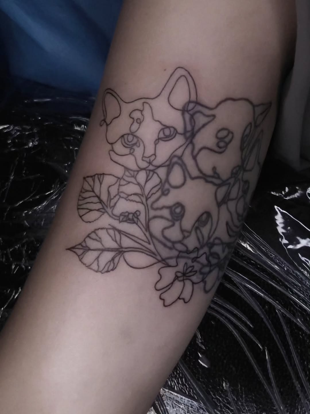 Tattoo by @alicialk — fine_line, illustrative