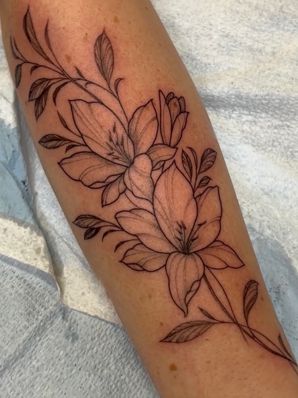 Tattoo by @amp.tattoos — fine_line