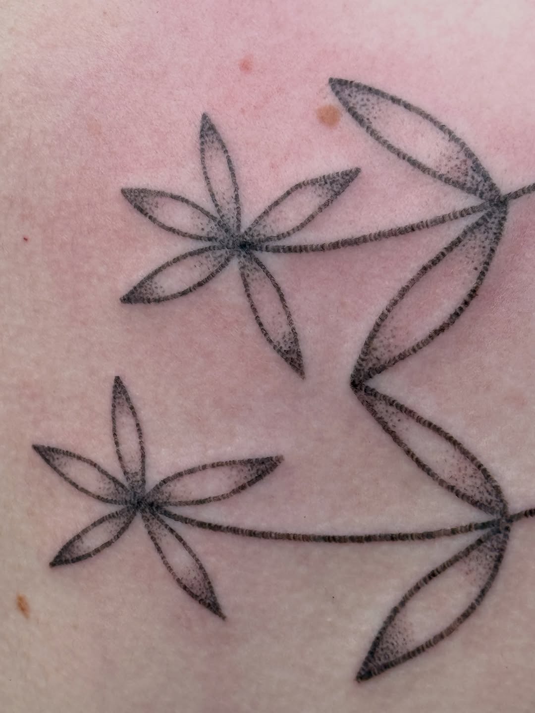 Tattoo by @alicexgreen — fine_line, dotwork