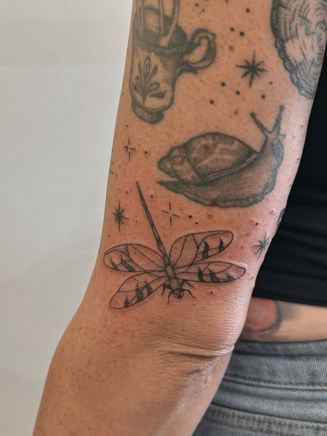 Tattoo by @shroomgrrrl — fine_line, illustrative