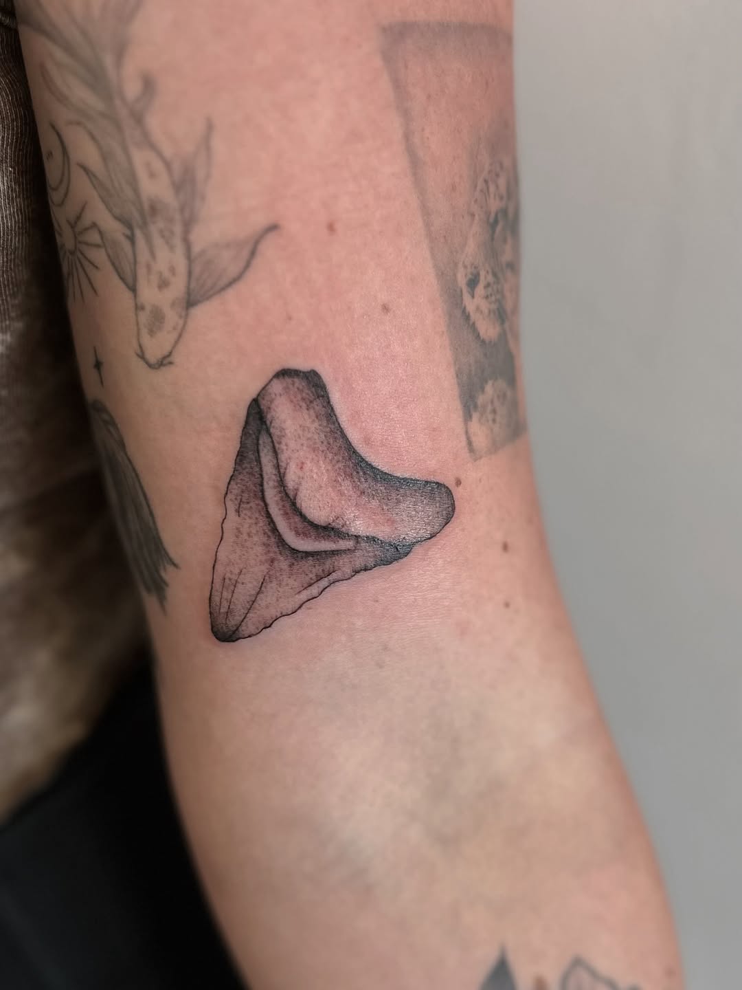 Tattoo by @shroomgrrrl — black_and_grey, realism