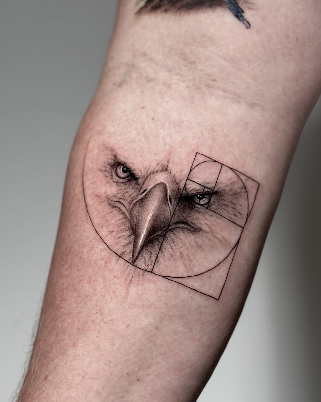 Tattoo by @digo_tattooer โ realism, geometric
