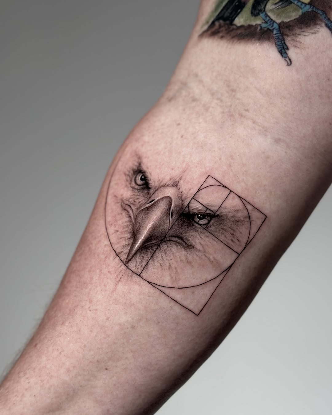 Tattoo by @digo_tattooer โ realism, geometric