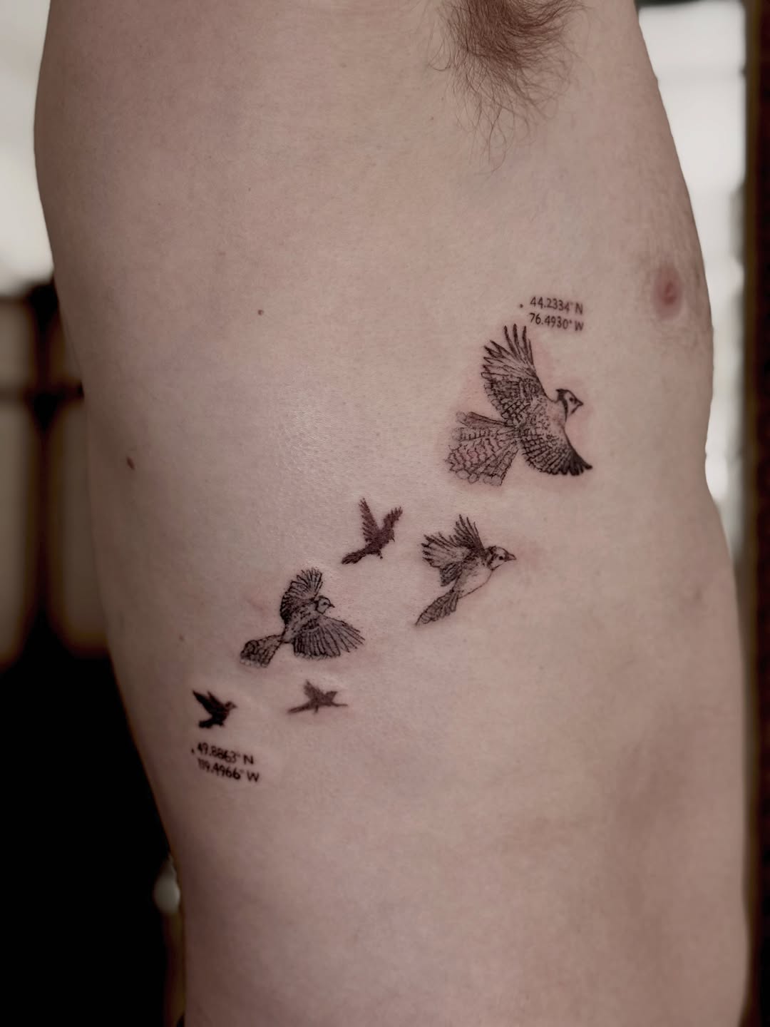 Tattoo by @velvet.briar — fine_line, realism