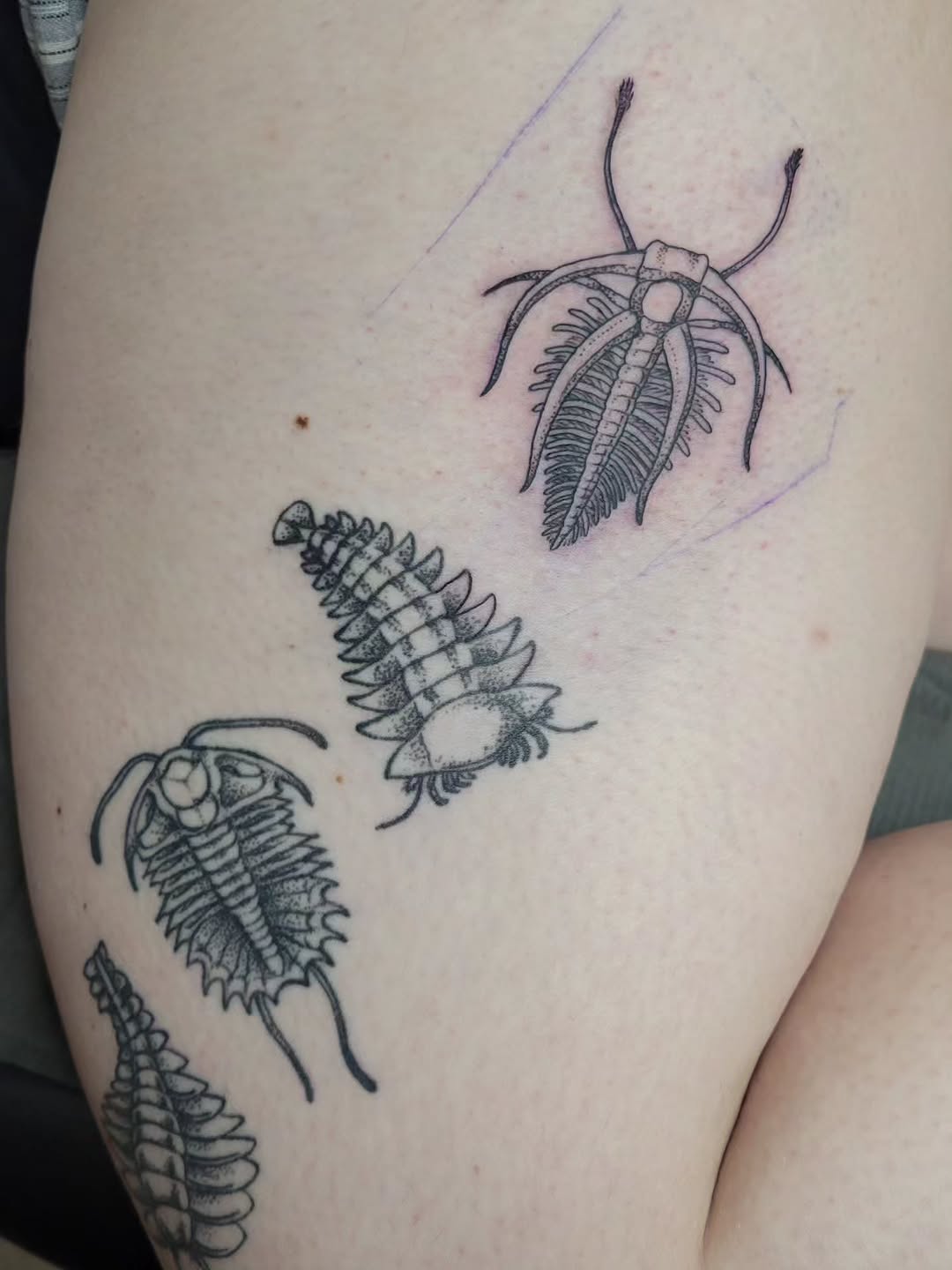 Tattoo by @melancholy.moth.tattoo — black_and_grey, dotwork