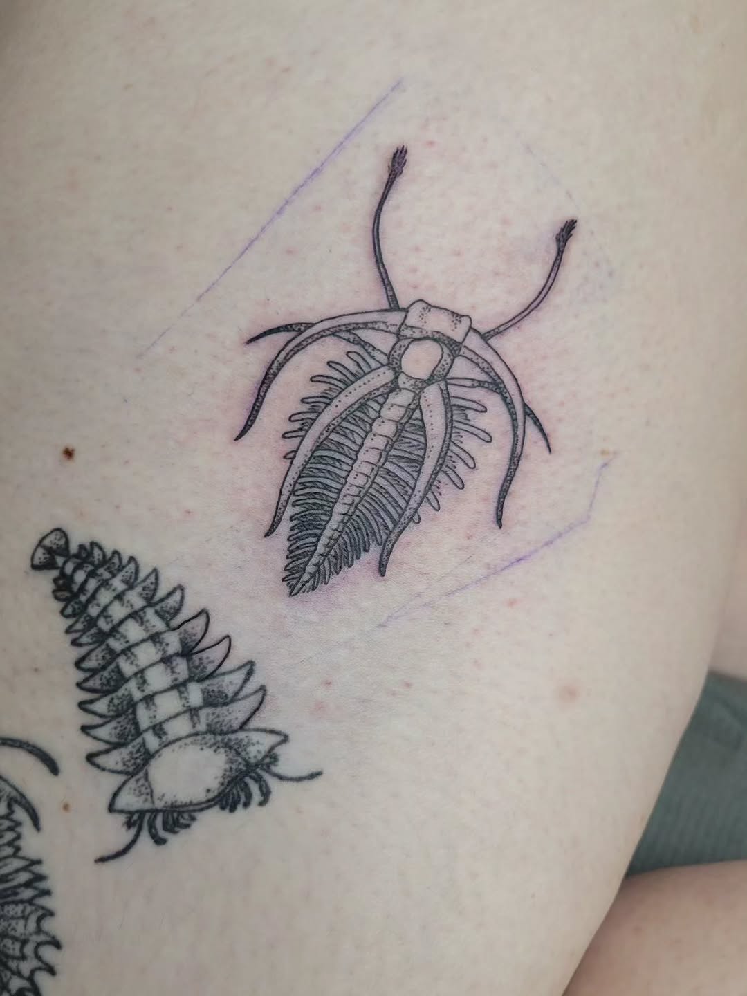Tattoo by @melancholy.moth.tattoo — black_and_grey, dotwork