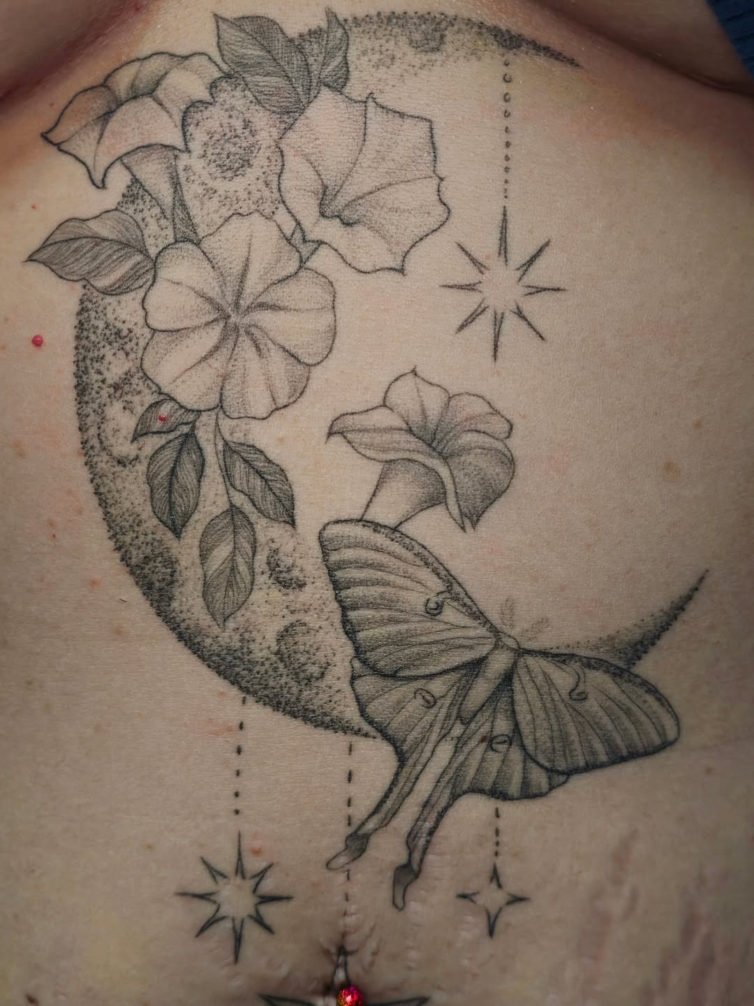 Tattoo by @talia_tattoo_ — fine_line, dotwork