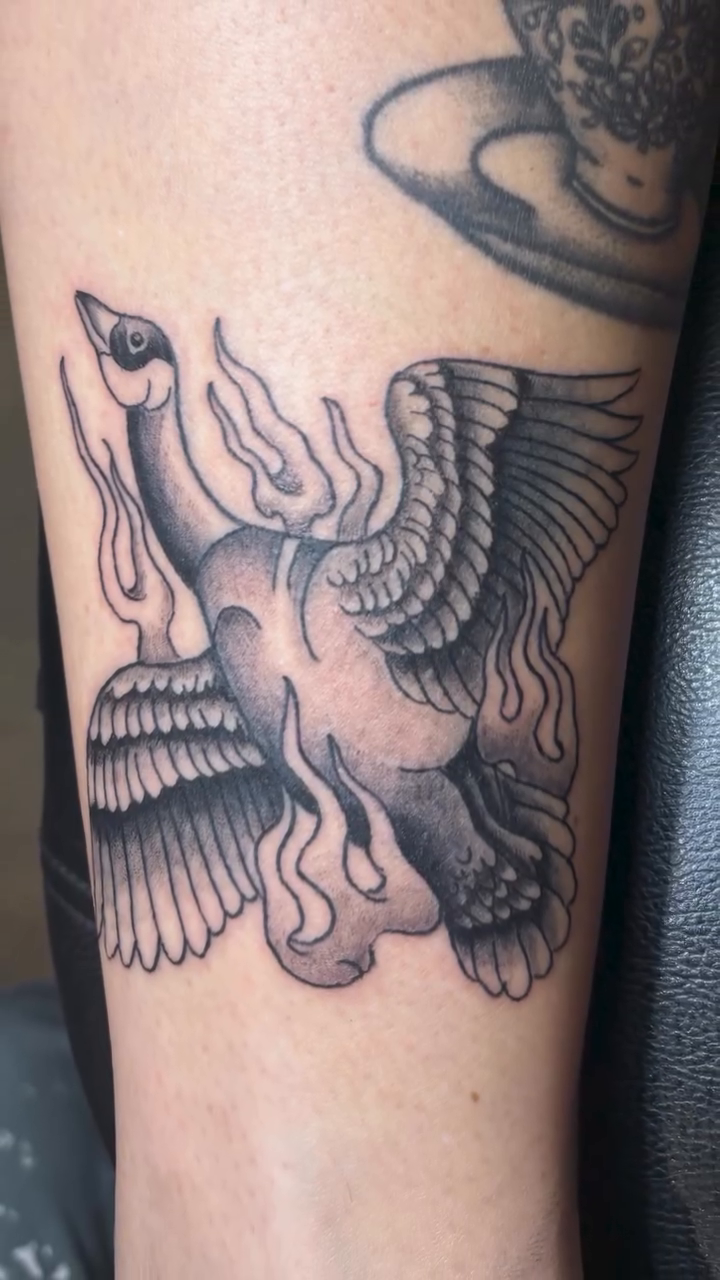 Tattoo by @colourblindtattoo — american_traditional