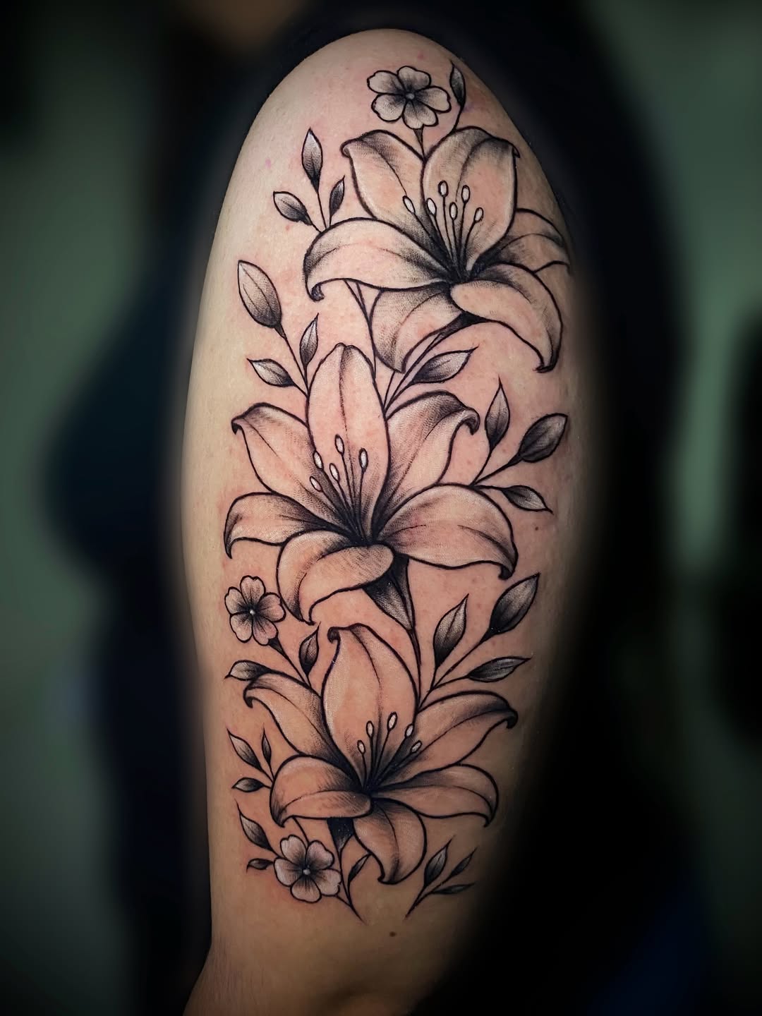Tattoo by @aifos_arts94 — black_and_grey, fine_line
