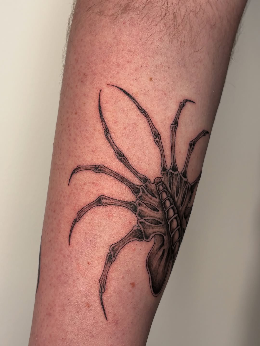 Tattoo by @silviieee — realism, black_and_grey