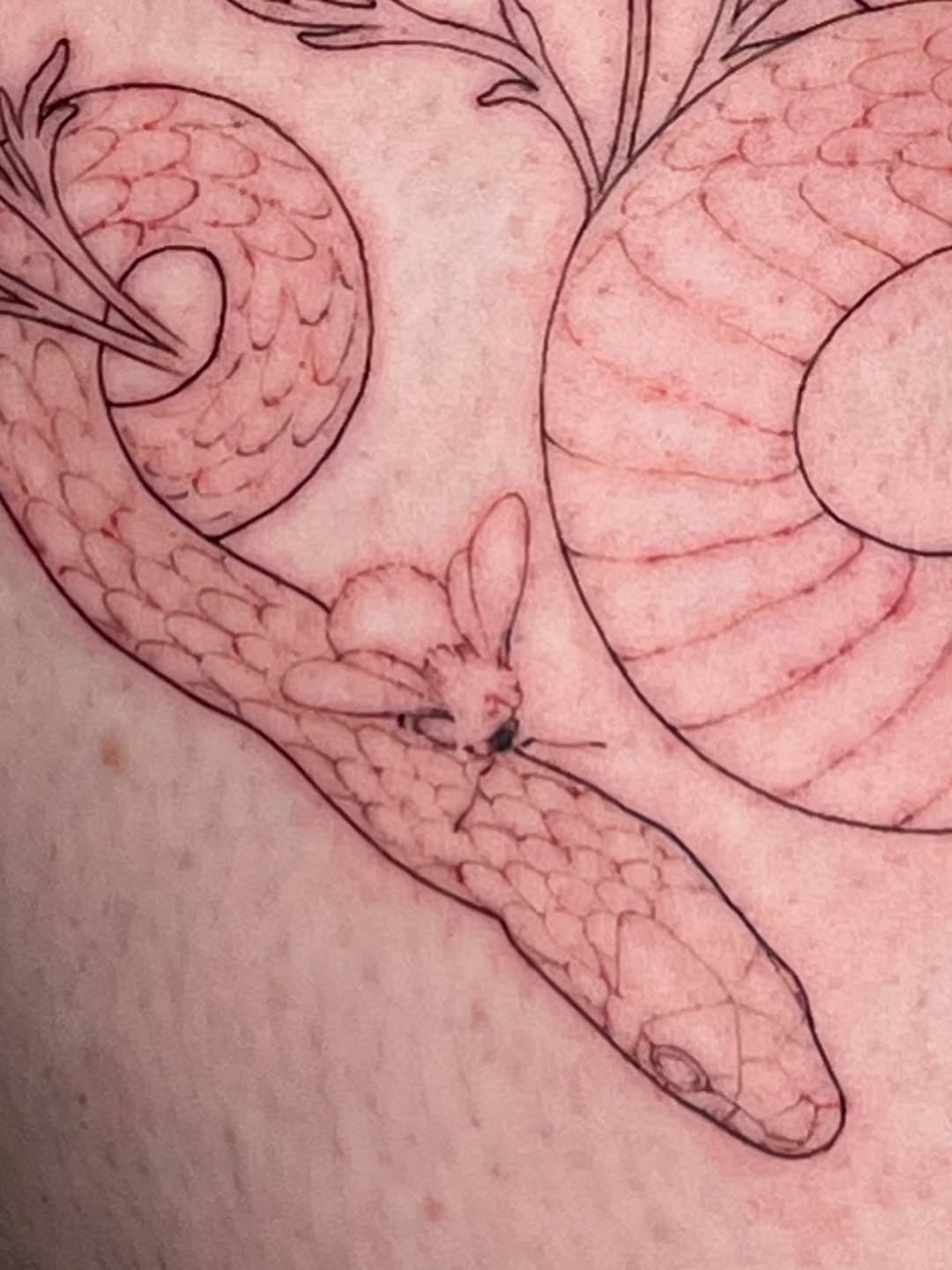 Tattoo by @cupidnegra β fine_line, illustrative