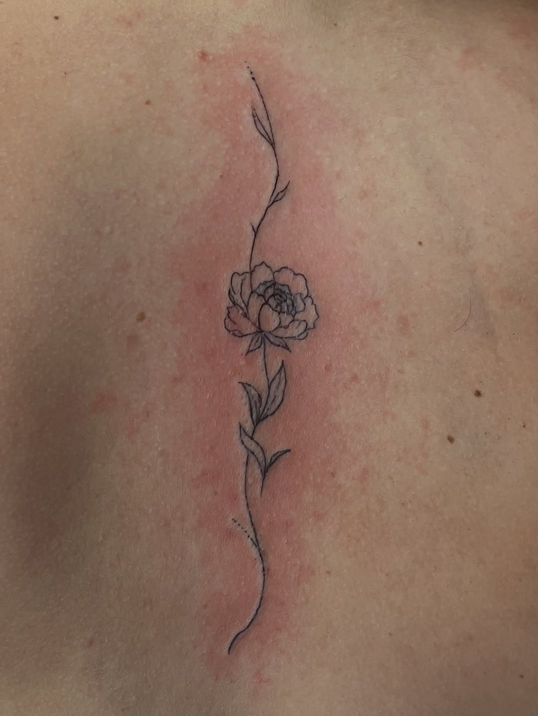 Tattoo by @tattedupbaddies_ — fine_line
