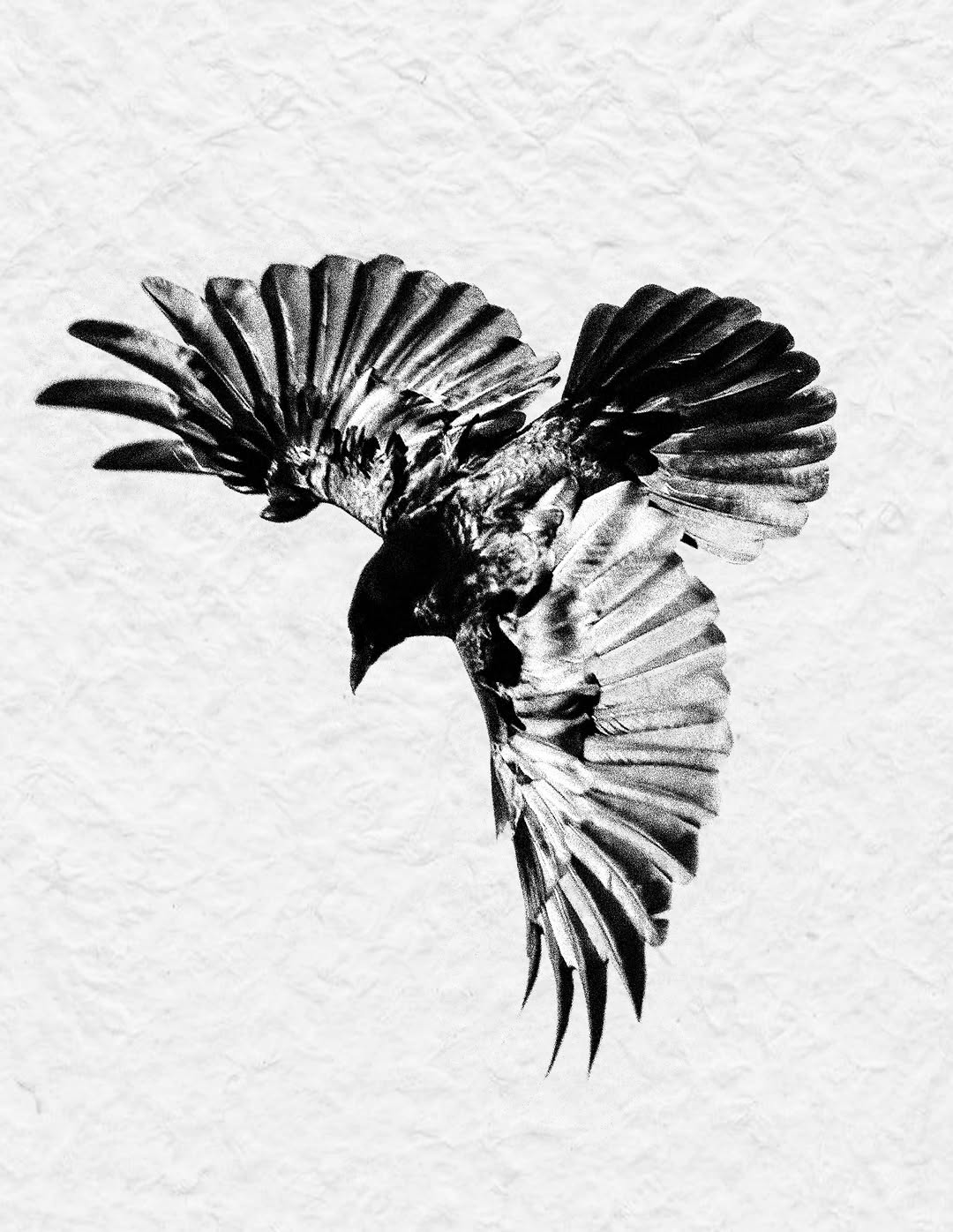Tattoo by @musoutattoo — realism, dotwork