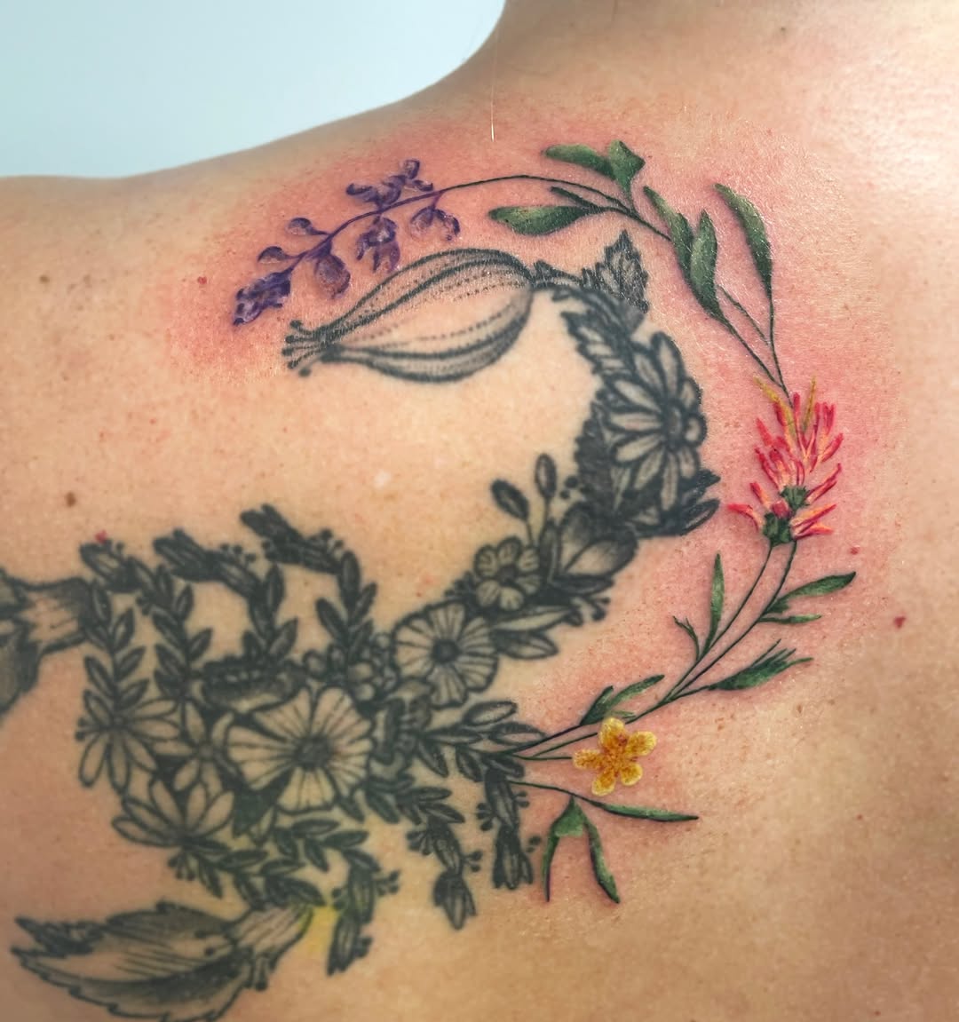 Tattoo by @stephtattoos13 — fine_line, illustrative