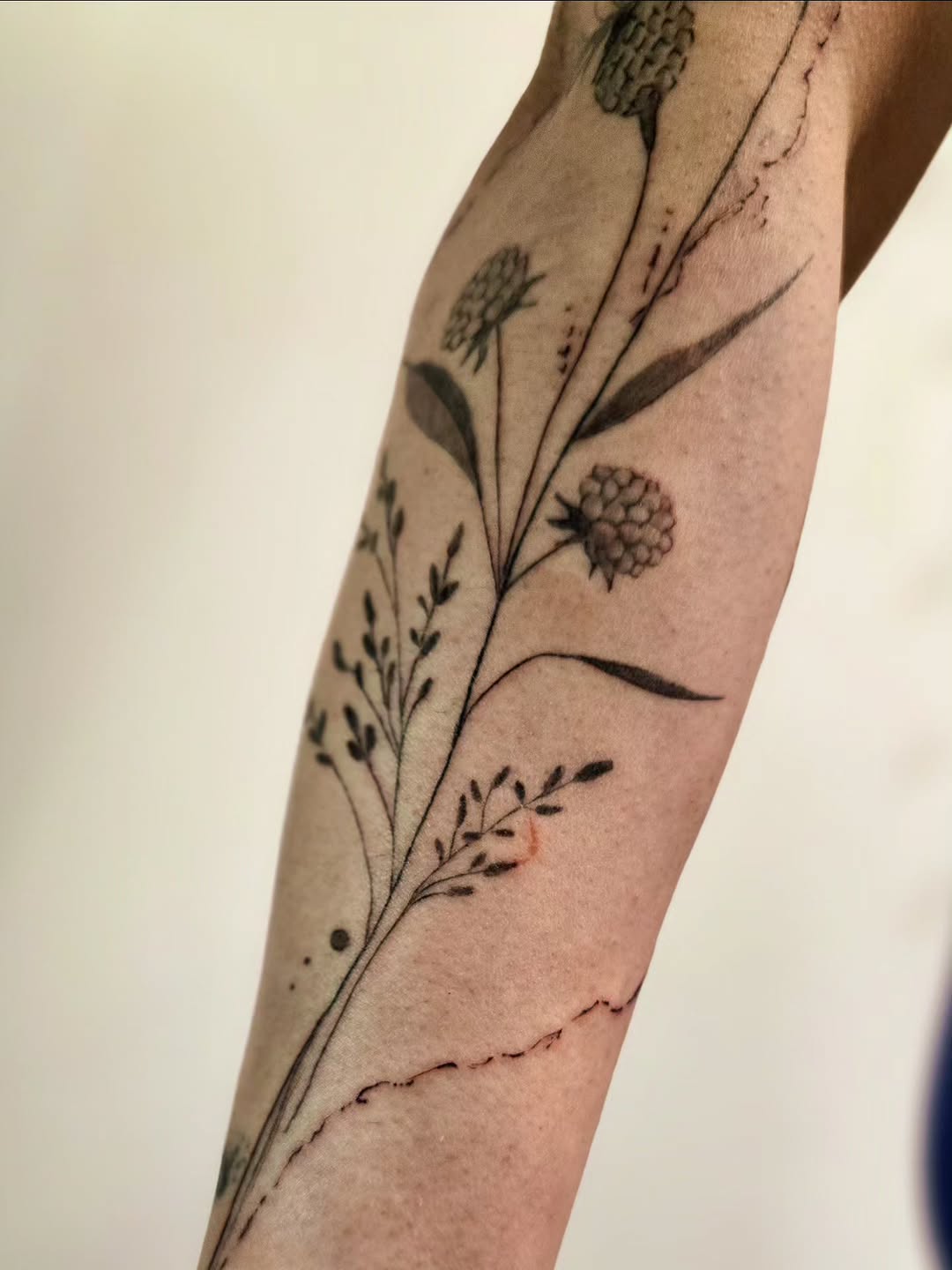 Tattoo by @meditating_ink — fine_line, illustrative