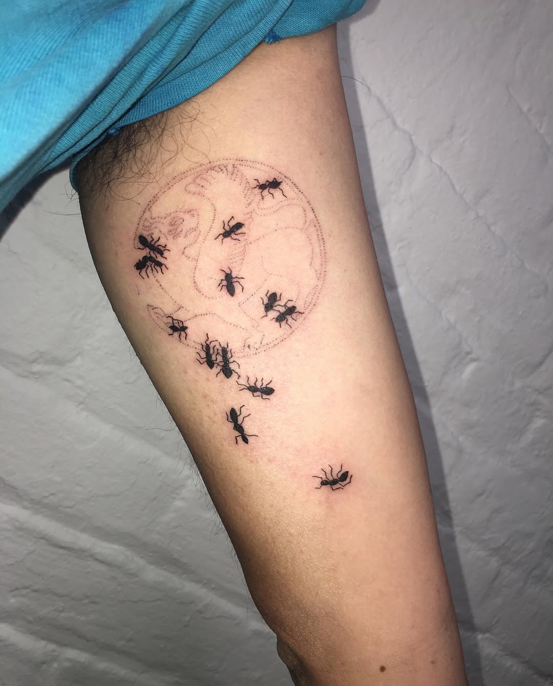 Tattoo by @consomm.able — fine_line, black_and_grey