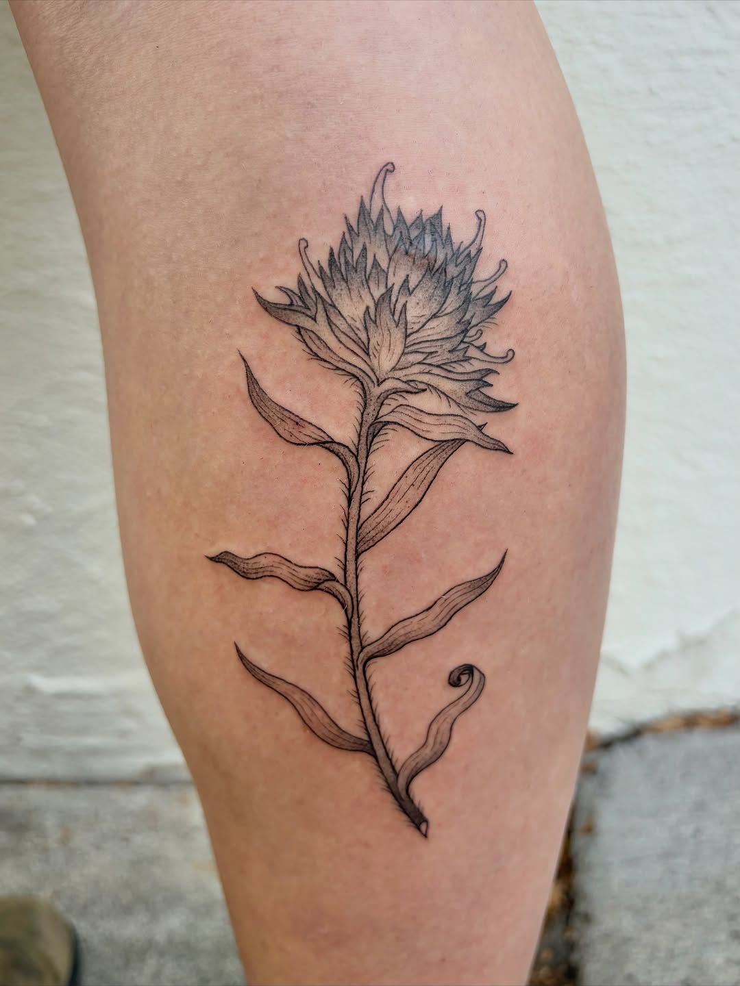 Tattoo by @siltyloamtattoo — fine_line, black_and_grey