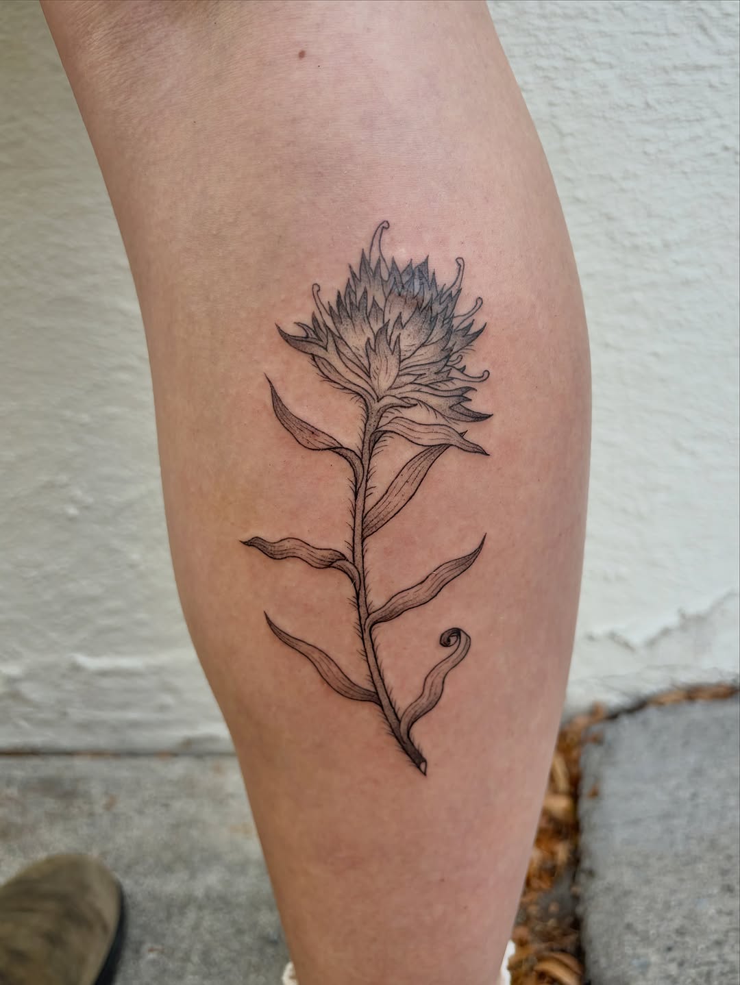 Tattoo by @siltyloamtattoo — black_and_grey, fine_line