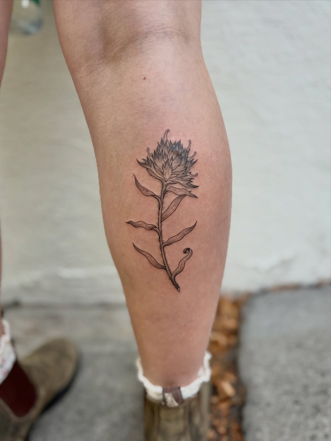 Tattoo by @siltyloamtattoo — fine_line, illustrative