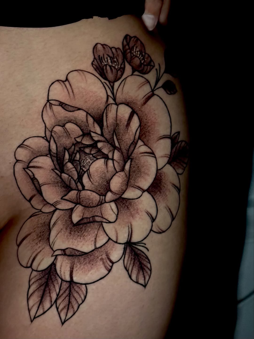 Tattoo by @virginiasamtattoo — black_and_grey, fine_line