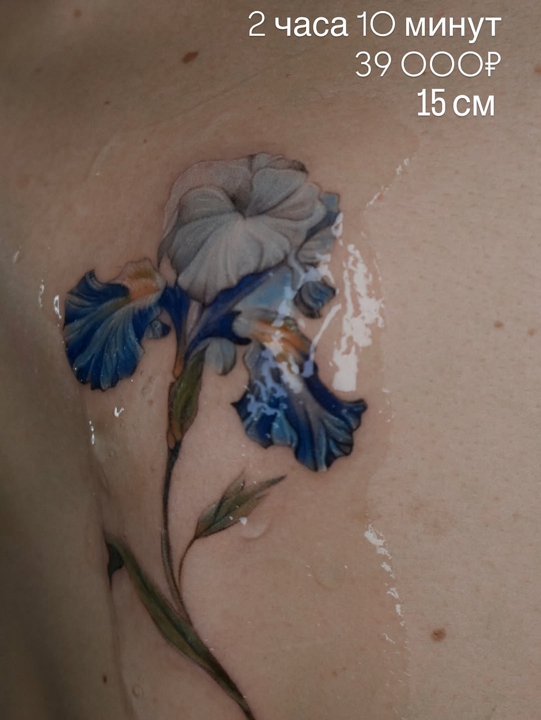 Tattoo by @biyanova_microrealism_tattoo — realism, fine_line