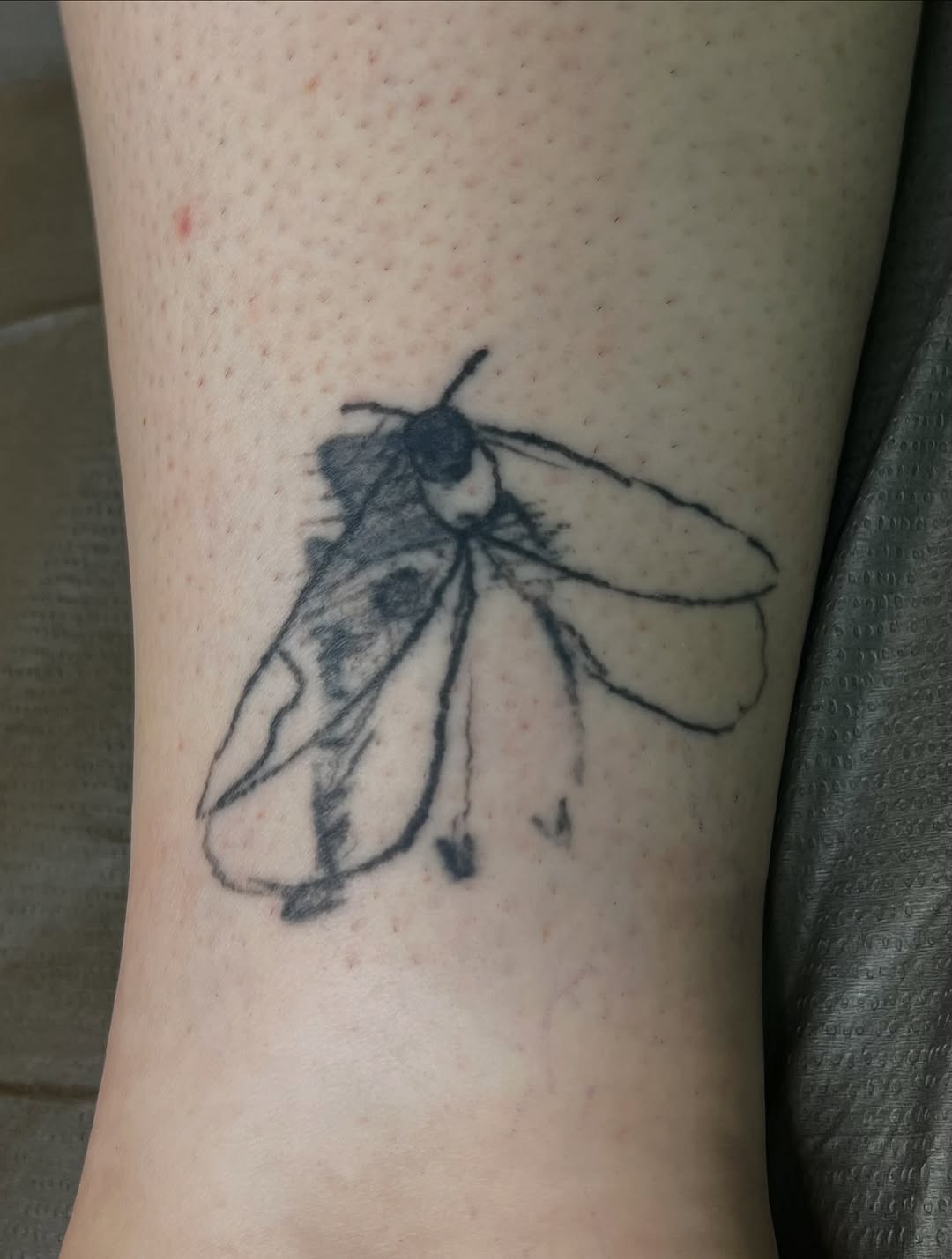 Tattoo by @kate.fluet — sketch
