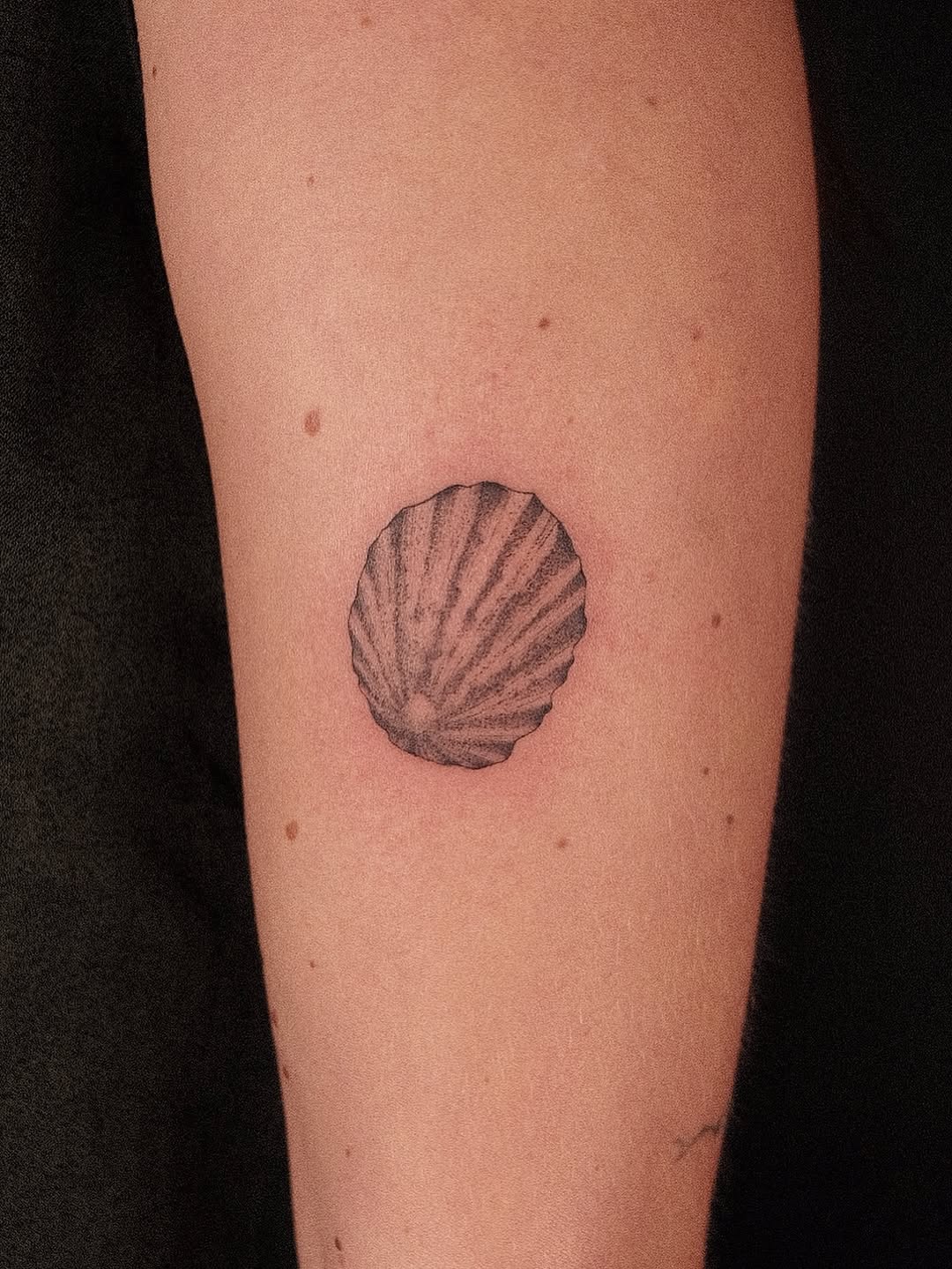 Tattoo by @shaypokes — fine_line, black_and_grey