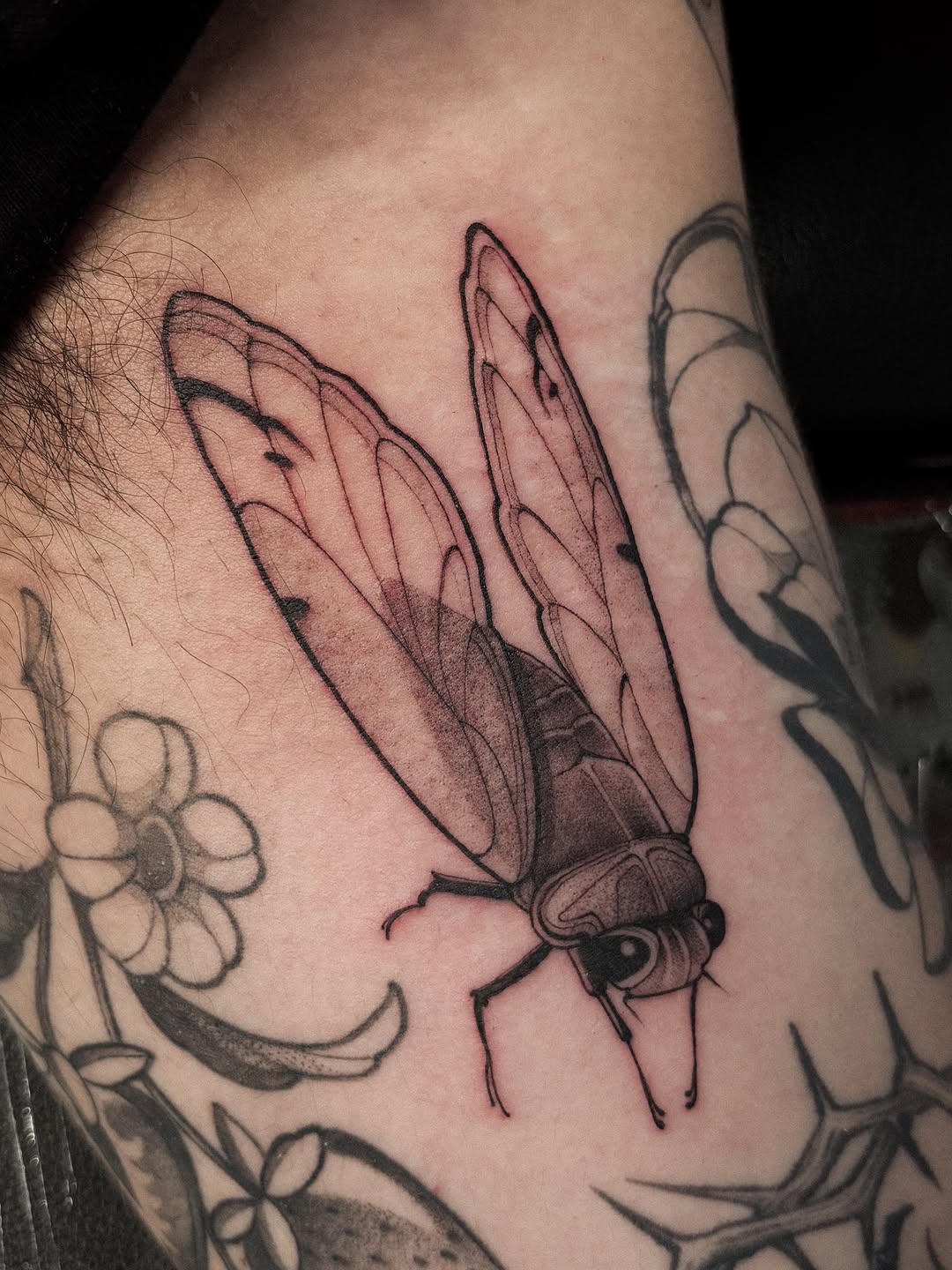 Tattoo by @samishii.ttt — black_and_grey, realism