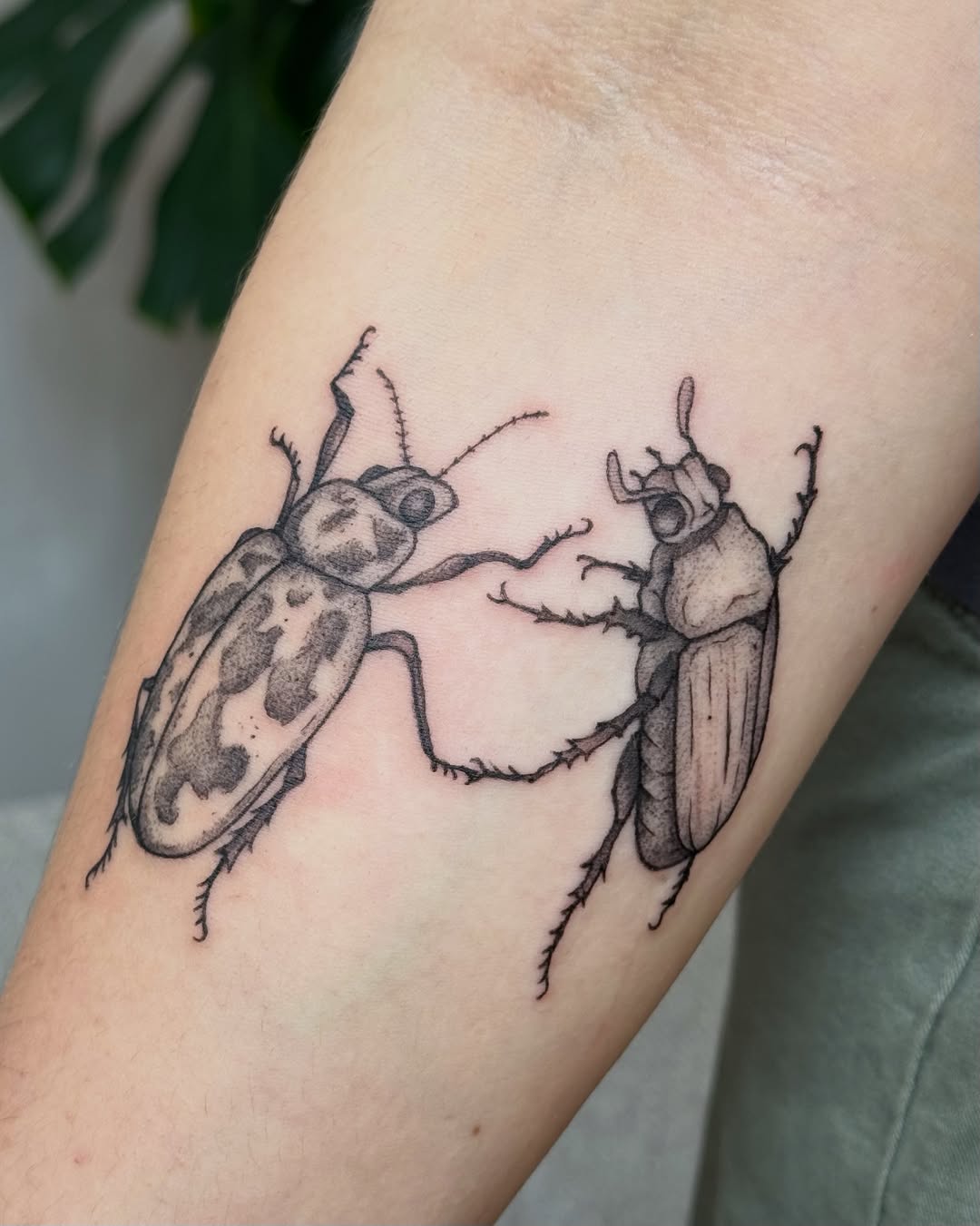 Tattoo by @haut_ces_ane โ realism, black_and_grey