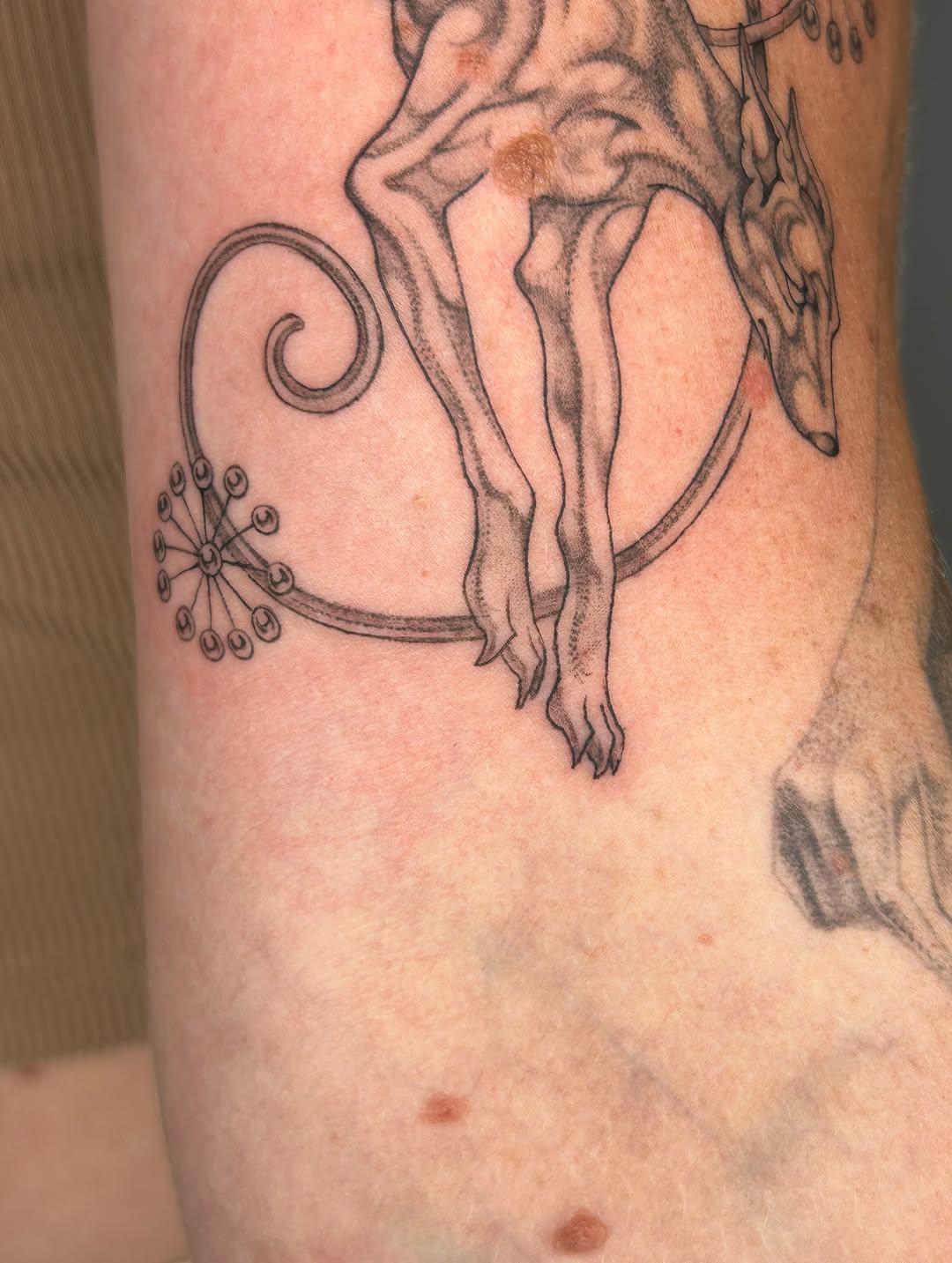 Tattoo by @late_bloom3r โ fine_line, black_and_grey