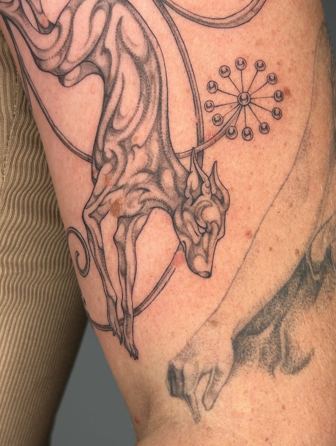 Tattoo by @late_bloom3r โ fine_line, black_and_grey