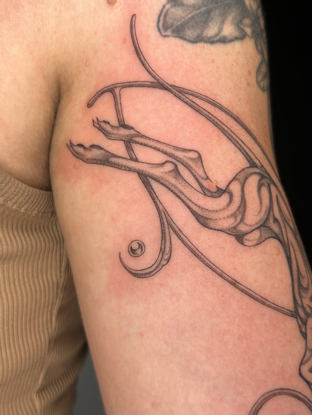 Tattoo by @late_bloom3r โ fine_line, black_and_grey