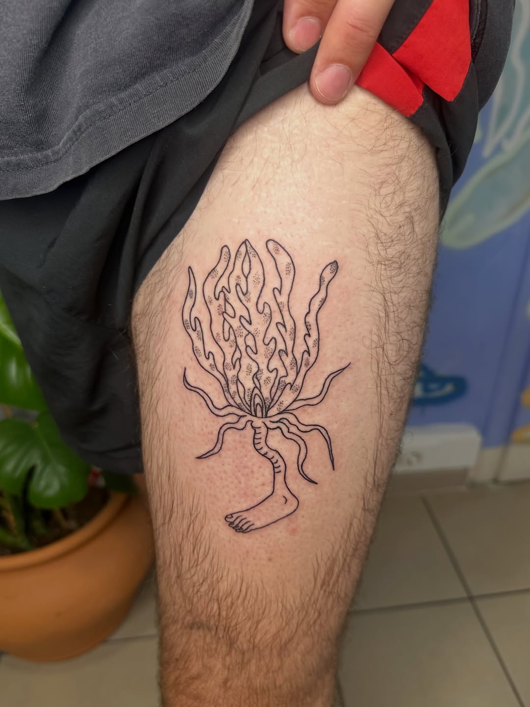 Tattoo by @kyklothymia — fine_line, dotwork