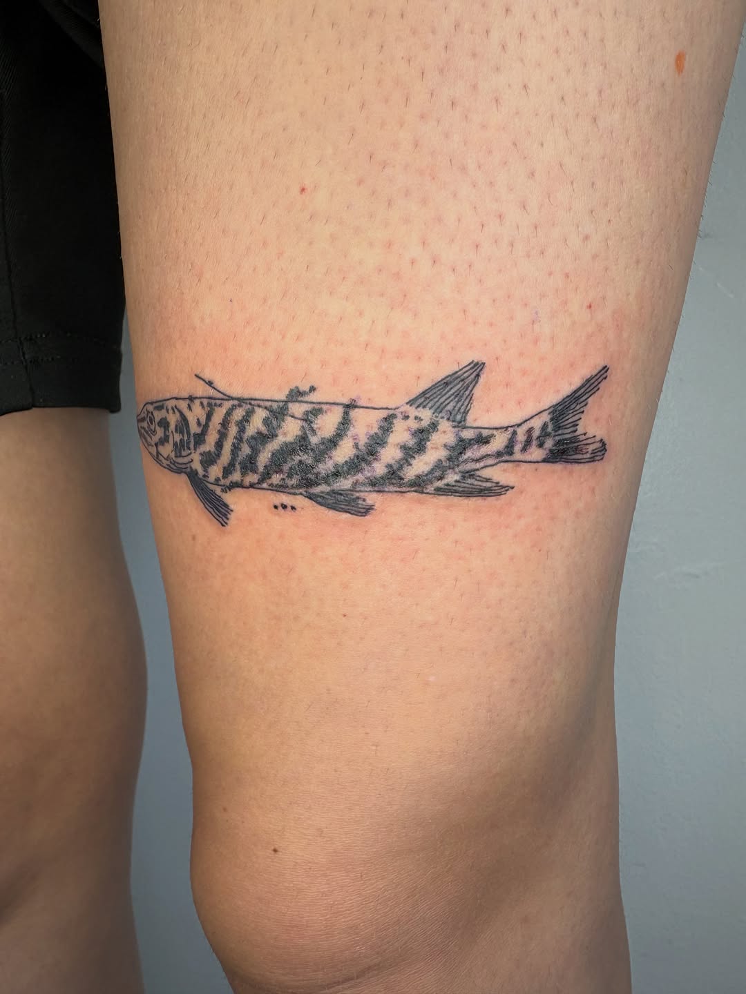 Tattoo by @lamhamilton β black_and_grey, realism