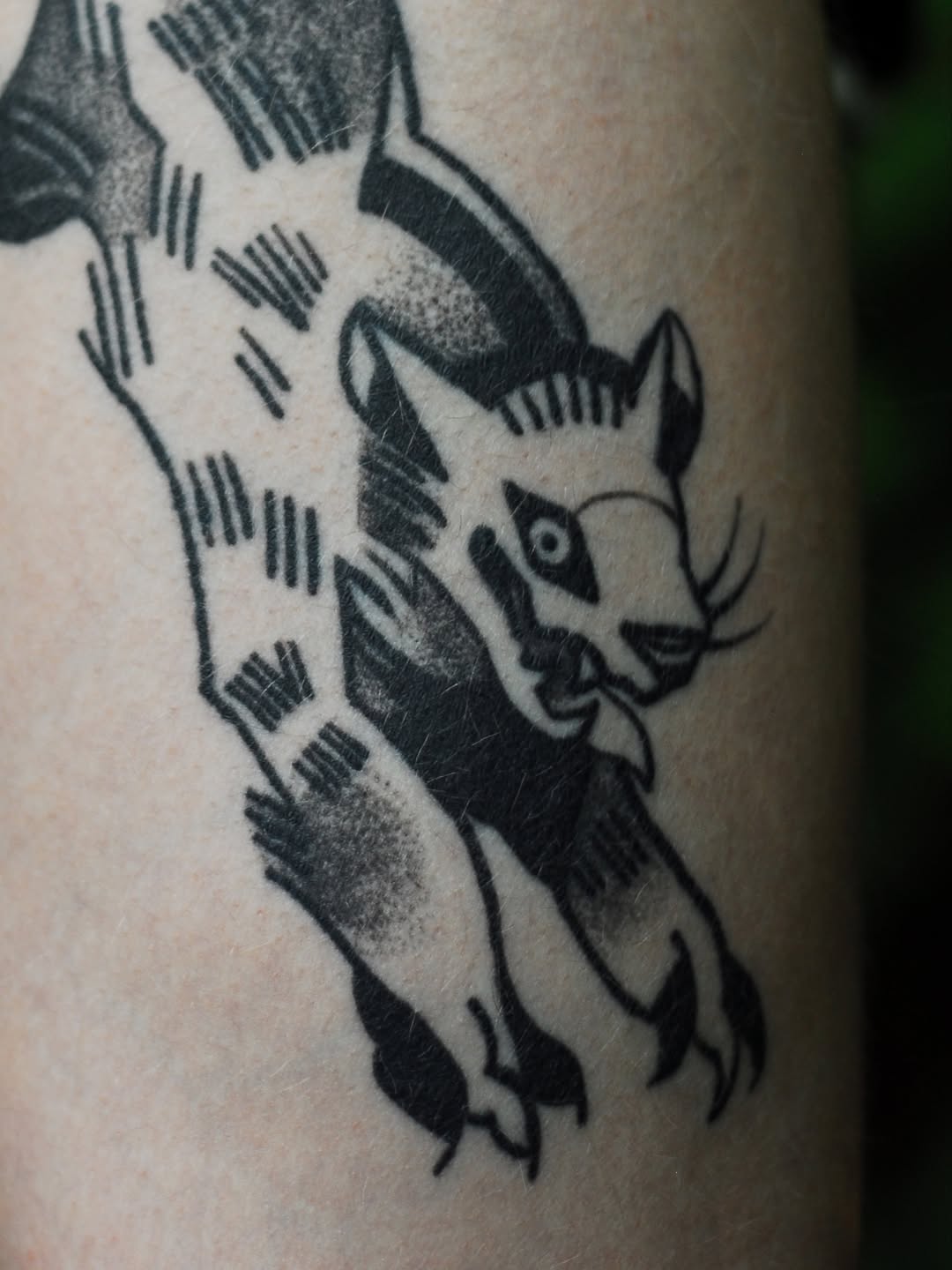 Tattoo by @birdfingers — american_traditional, black_and_grey
