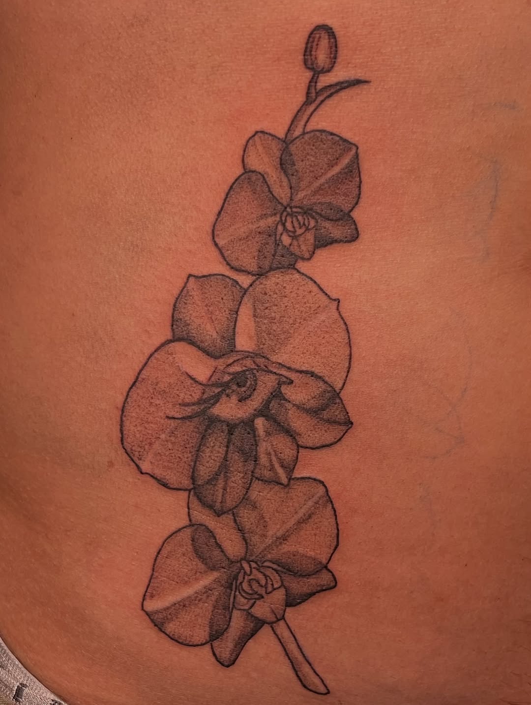 Tattoo by @syreetattoos — black_and_grey, realism