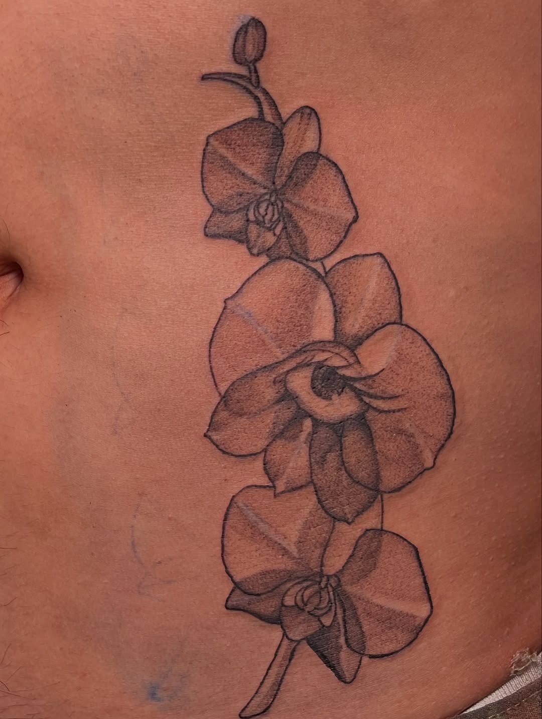 Tattoo by @syreetattoos — black_and_grey, realism