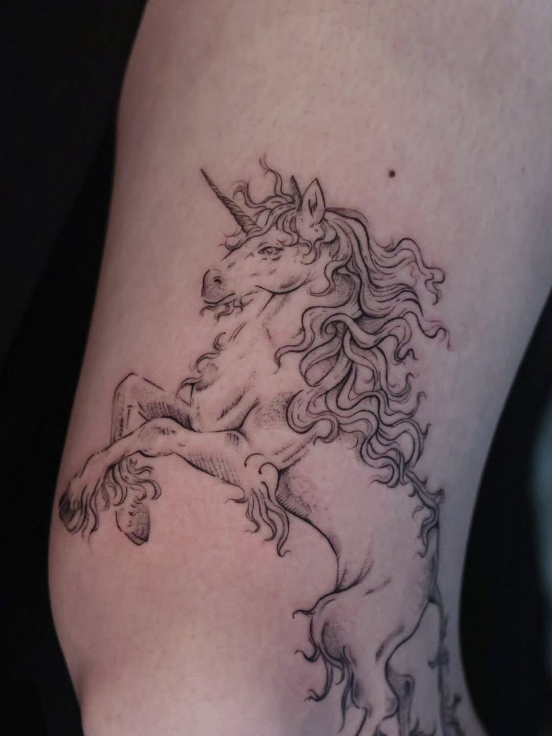 Tattoo by @tattooist_aleksa — fine_line, illustrative