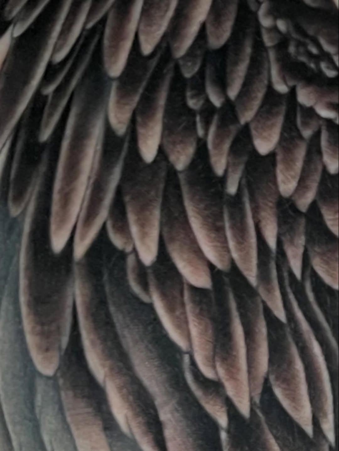 Tattoo by @therealdomgray — realism, black_and_grey