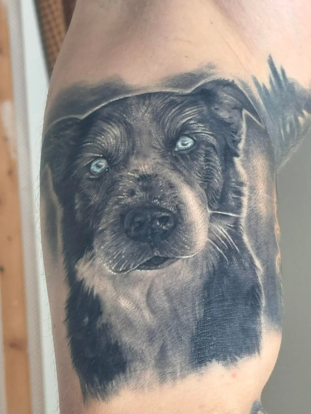 Tattoo by @theinkmason3 — realism, black_and_grey