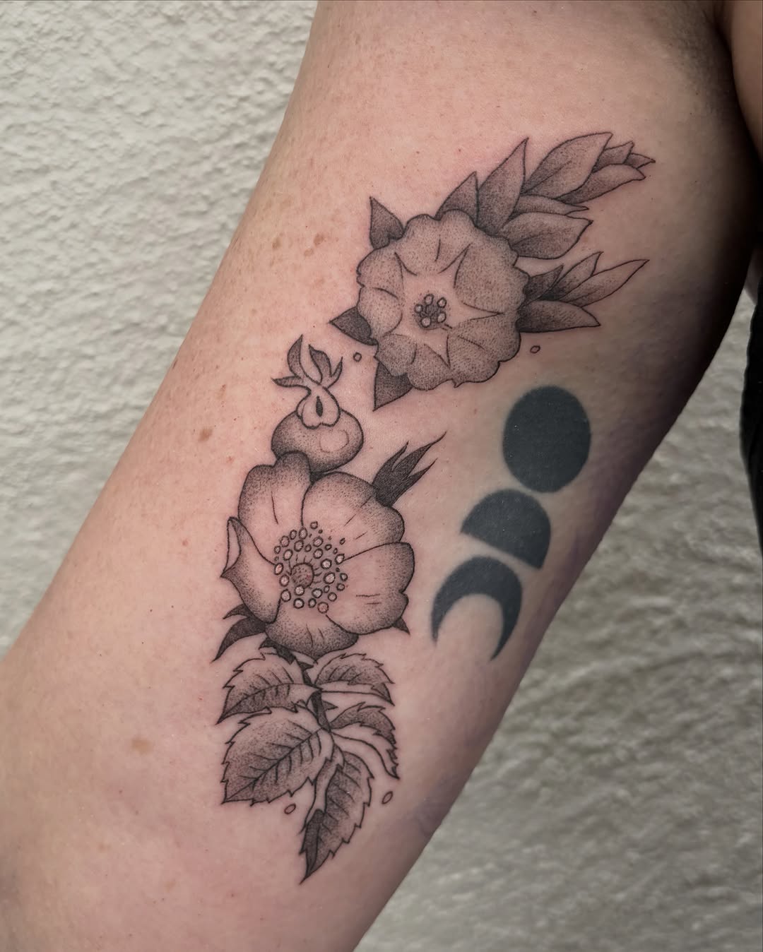 Tattoo by @siltyloamtattoo — fine_line, dotwork