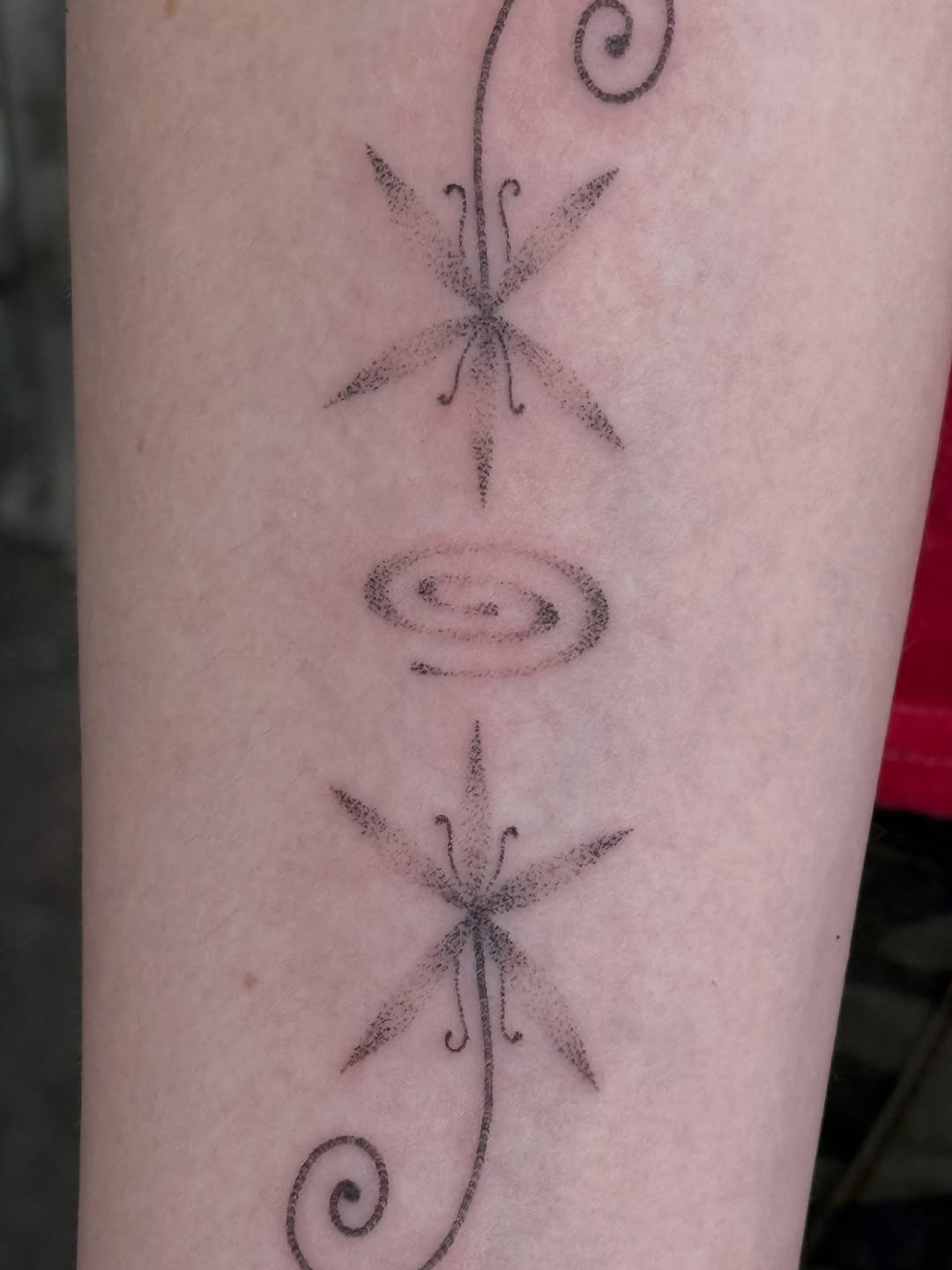 Tattoo by @alicexgreen — dotwork, fine_line