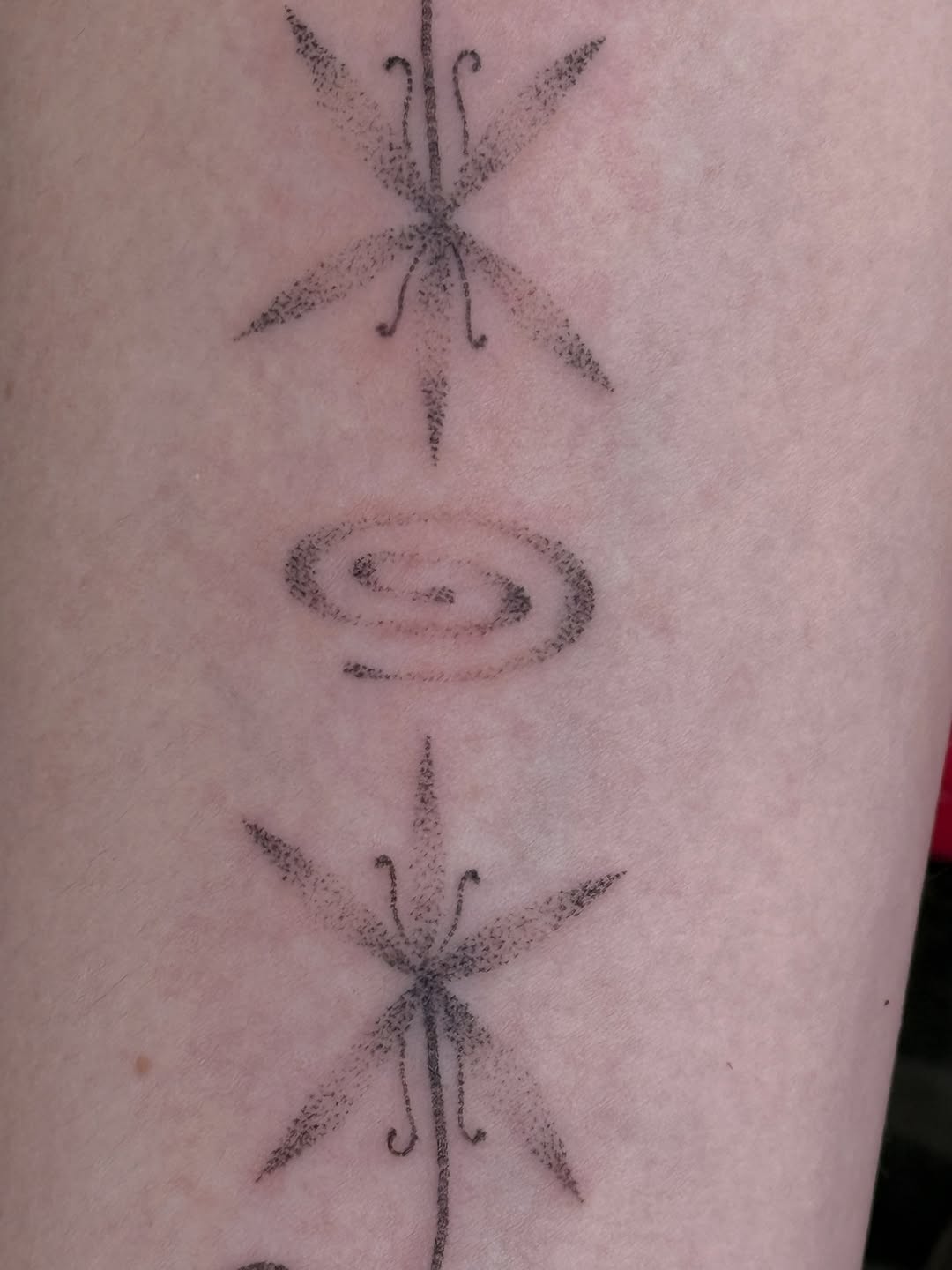 Tattoo by @alicexgreen — dotwork, fine_line