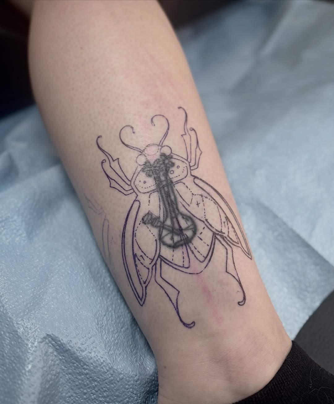 Tattoo by @maya_zink — fine_line, illustrative