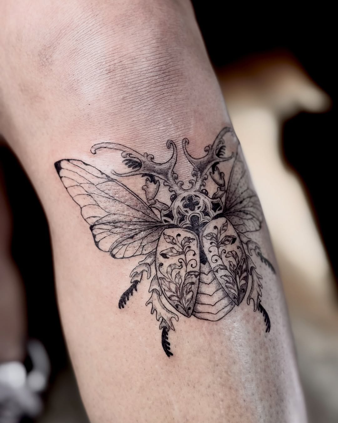 Tattoo by @velvet.briar — black_and_grey, ornamental