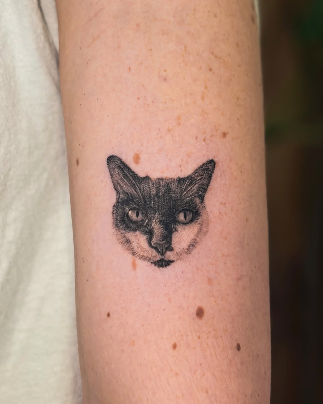 Tattoo by @minto.tattoo โ realism, black_and_grey