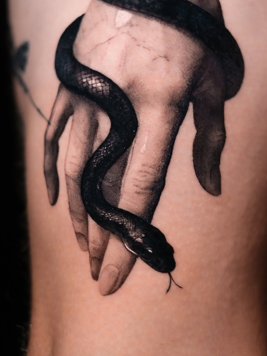 Tattoo by @stadnyque โ realism, black_and_grey